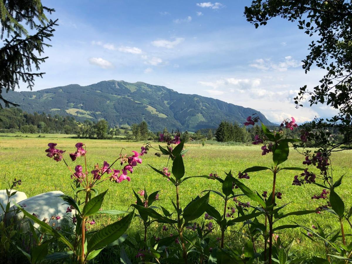 Pension Erlhof Зальфельден Экстерьер фото