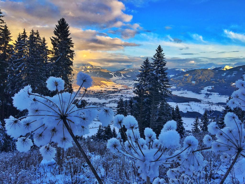 Pension Erlhof Зальфельден Экстерьер фото