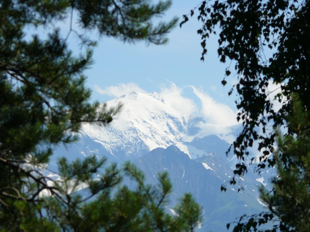 Pension Erlhof Зальфельден Номер фото